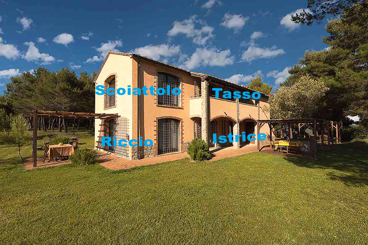 residenz_pineta_whg_riccio